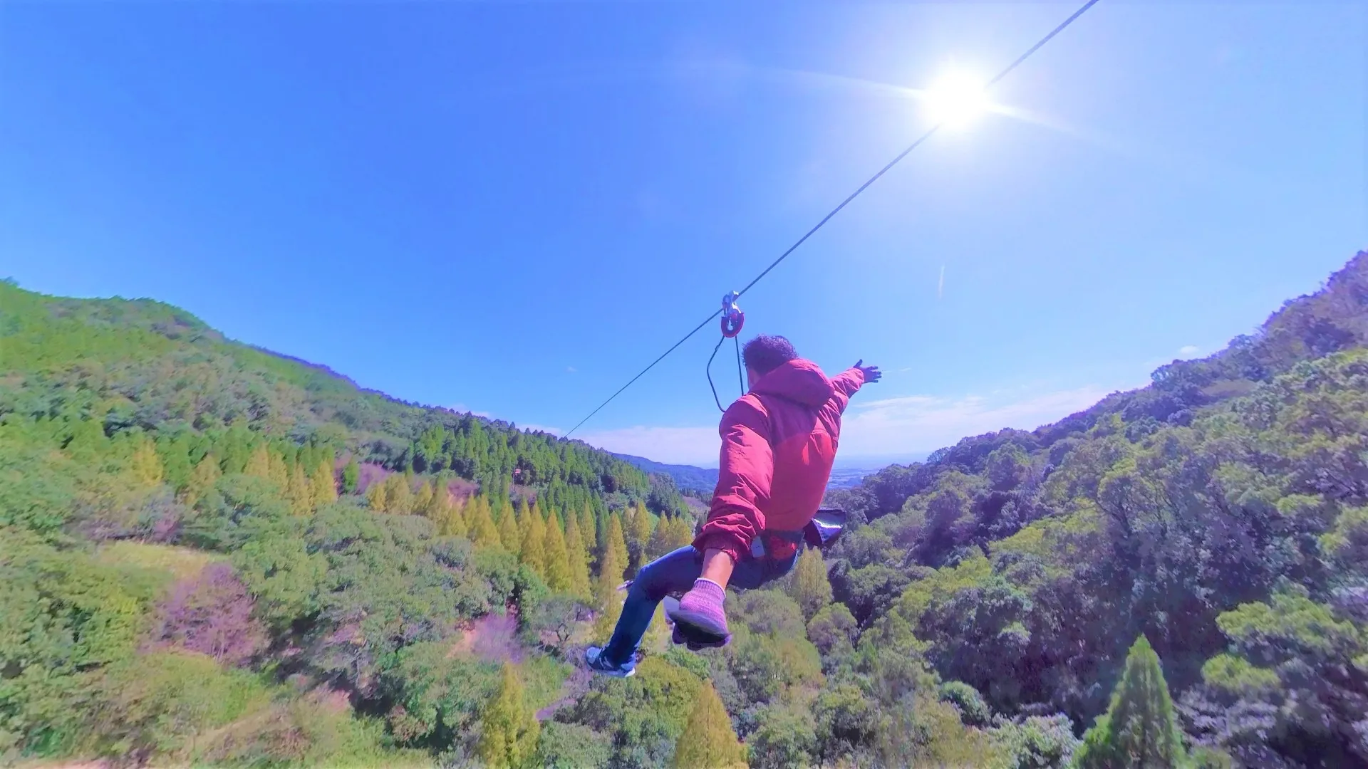 写真：遊んでいる様子