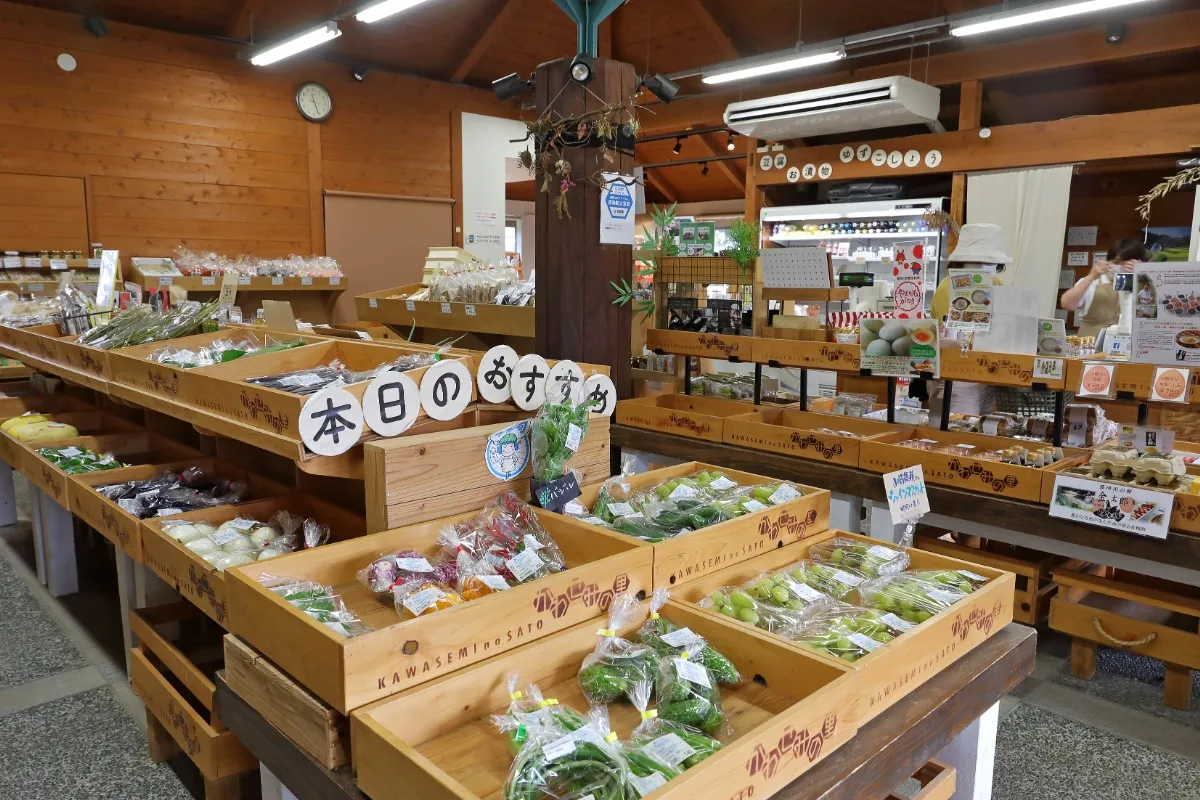 写真：かわせみの里の館内
